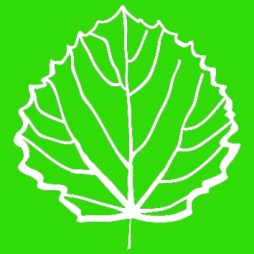 logo verde aapaesaggi