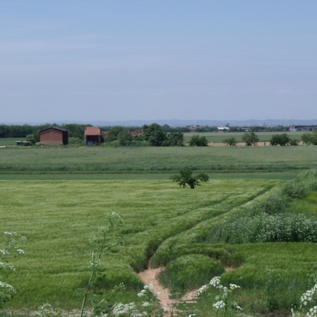 pozzolo
